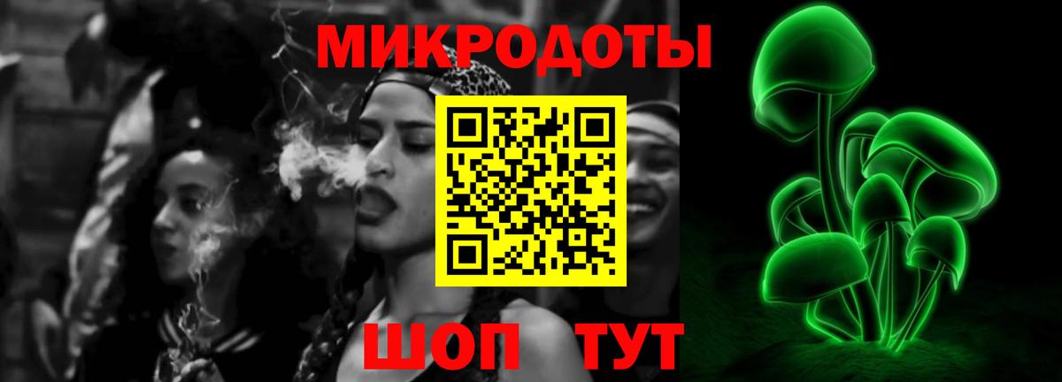 Кольчугино  Галлюциногенные грибы ЛСД  Вход с VPN 